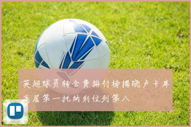 英超球员转会费排行榜揭晓卢卡库高居第一托纳利位列第八