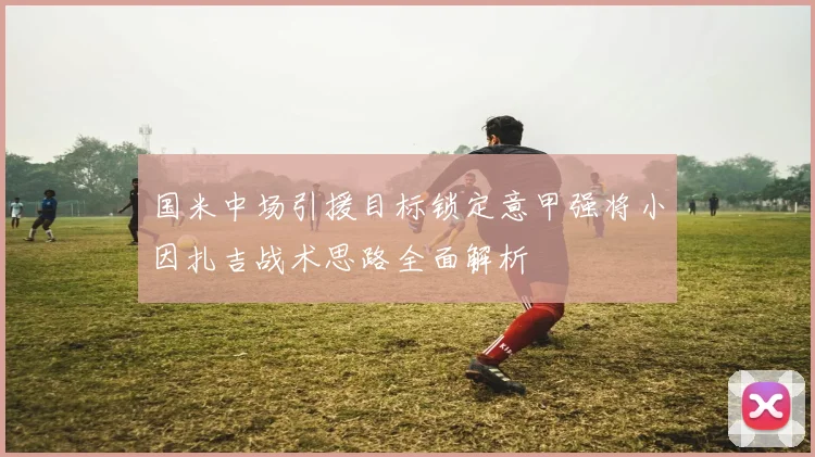 国米中场引援目标锁定意甲强将小因扎吉战术思路全面解析