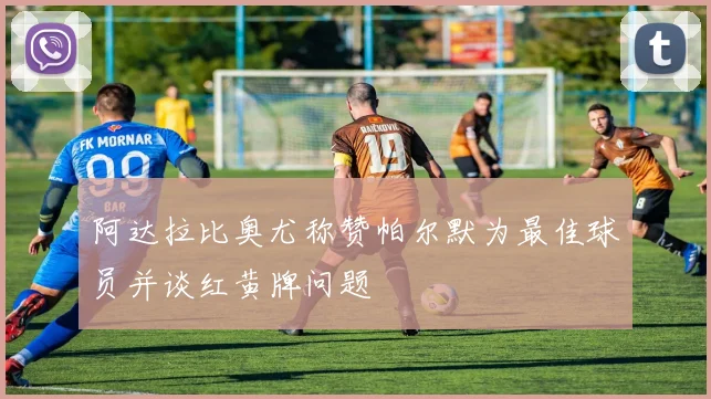 阿达拉比奥尤称赞帕尔默为最佳球员并谈红黄牌问题