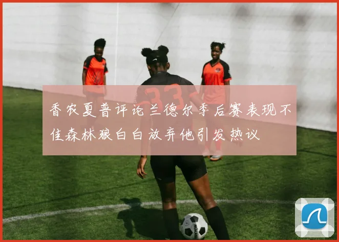 香农夏普评论兰德尔季后赛表现不佳森林狼白白放弃他引发热议