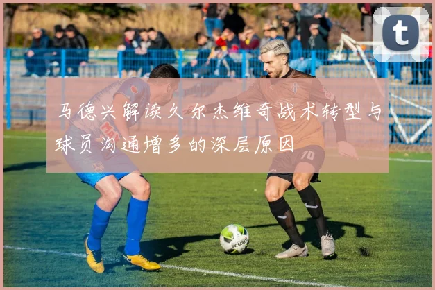 马德兴解读久尔杰维奇战术转型与球员沟通增多的深层原因